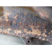26C116 Left Exhaust Manifold For 11-14 Ford F-150  5.0 BL3E9431BA